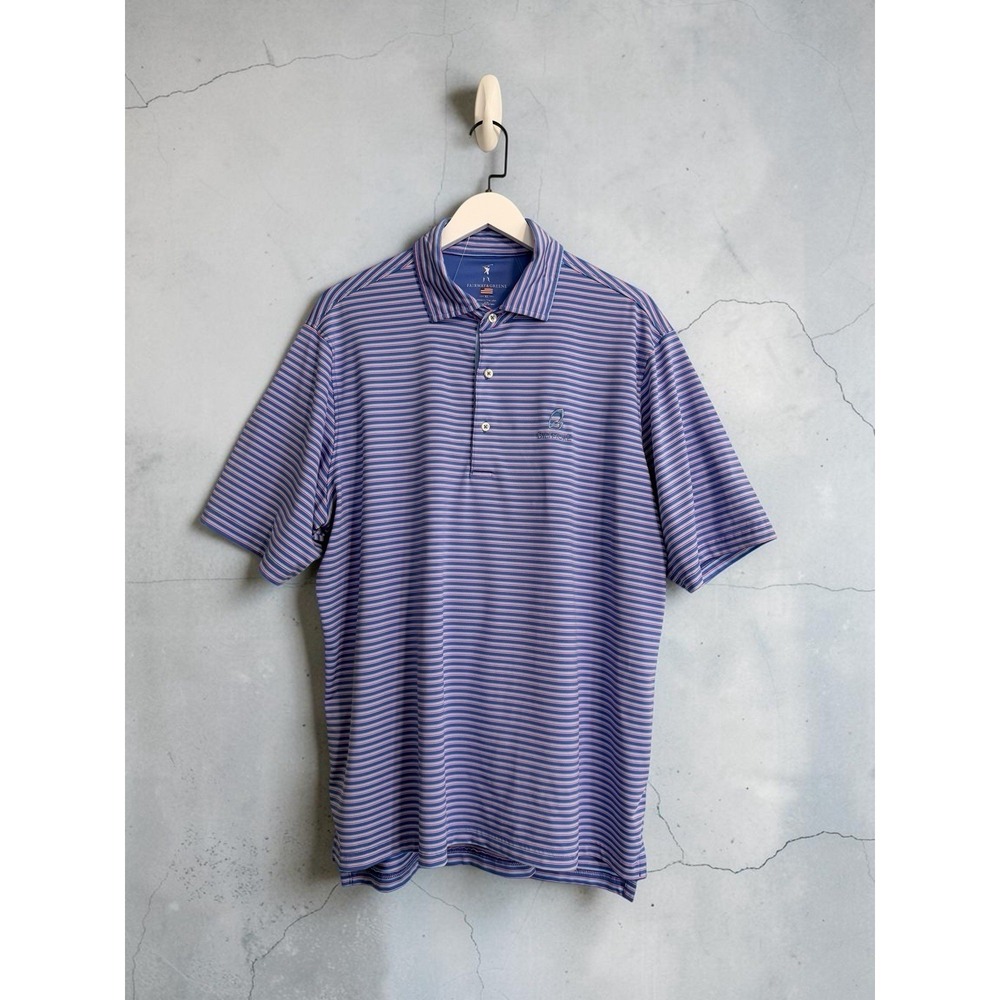 Arizona Biltmore Fairway & Greene Polo Shirt Mens XL Blue Stripe Golf